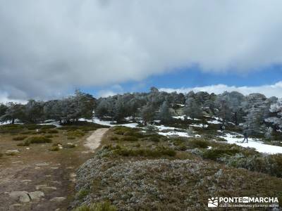 Siete Picos - Parque Nacional Cumbres del Guadarrama;tienda de montaña madrid viajes singles madrid